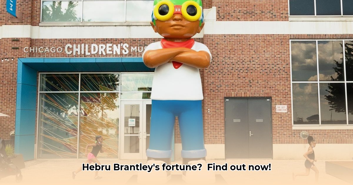 hebru-brantley-net-worth